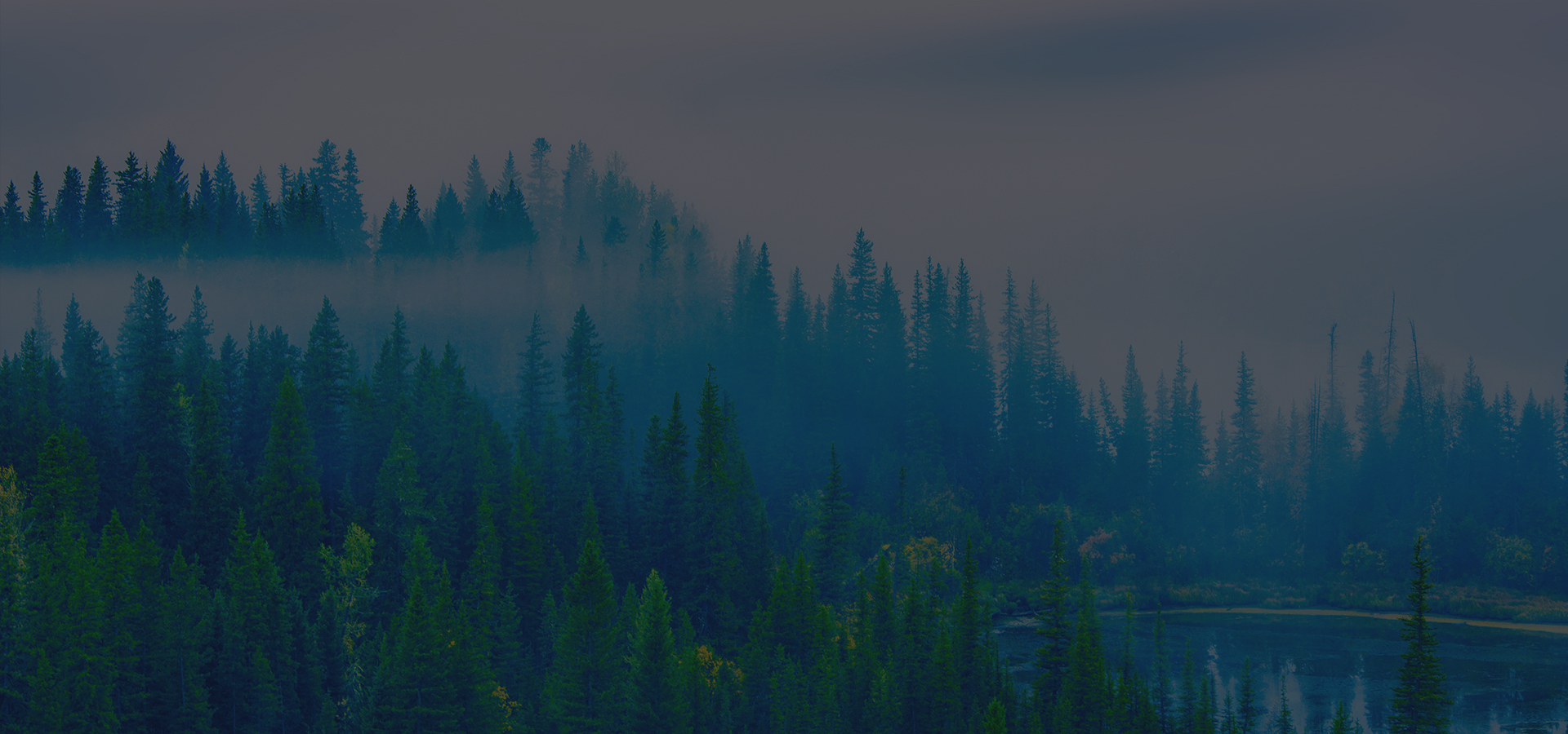banner1
